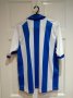 Brighton & Hove Albion Special football shirt 2011