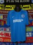 Brighton & Hove Albion Training/Leisure football shirt 2014 - 2015