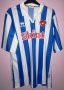 Brighton & Hove Albion Специальная футболка 2007