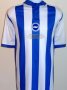 Brighton & Hove Albion Special football shirt 2011