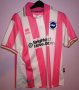 Brighton & Hove Albion Special football shirt 2011 - 2013