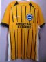 Brighton & Hove Albion Dış Saha futbol forması 2025 - 2026