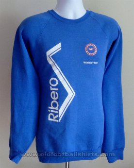 Brighton & Hove Albion Training/Leisure football shirt 1991