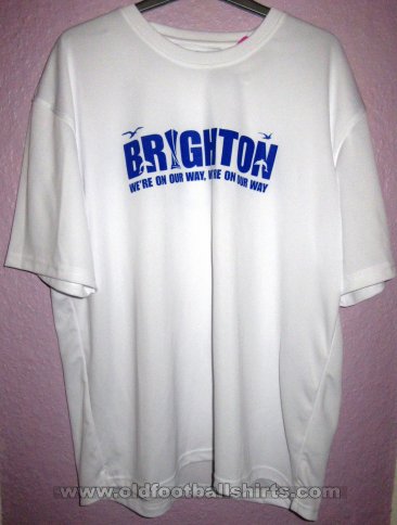 Brighton & Hove Albion Training/Leisure football shirt 2023 - 2024