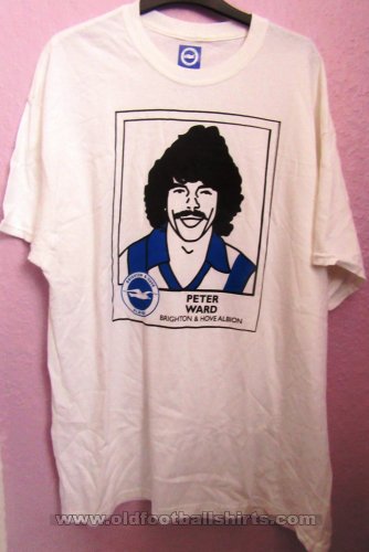 Brighton & Hove Albion Training/Leisure football shirt 2020