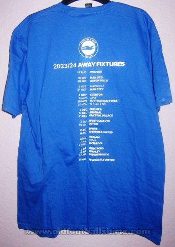 Brighton & Hove Albion Training/Leisure football shirt 2024