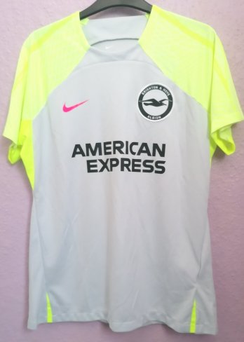 Brighton & Hove Albion Training/Leisure football shirt 2023 - 2024