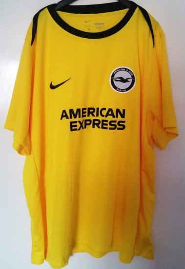 Brighton & Hove Albion Training/Leisure football shirt 2024 - 2025