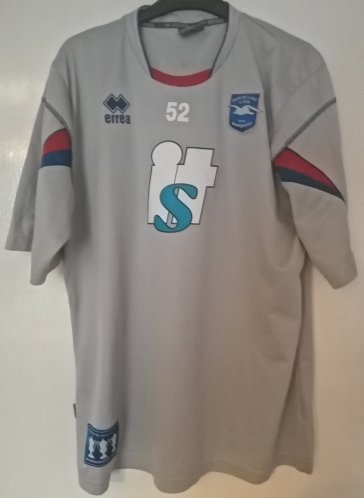 Brighton & Hove Albion Training/Leisure football shirt 2010 - 2011