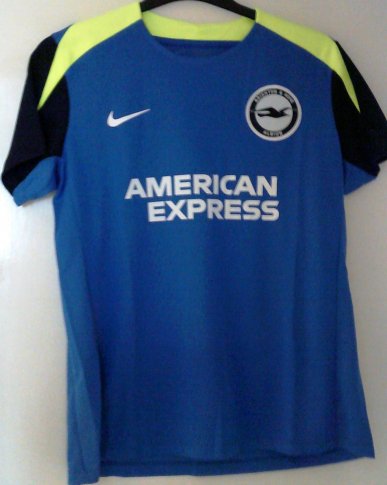 Brighton & Hove Albion Training/Leisure football shirt 2024 - 2025