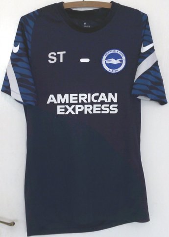 Brighton & Hove Albion Training/Leisure football shirt 2021 - 2022