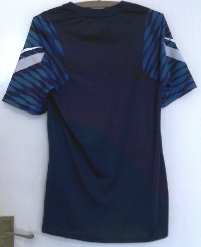 Brighton & Hove Albion Training/Leisure football shirt 2021 - 2022