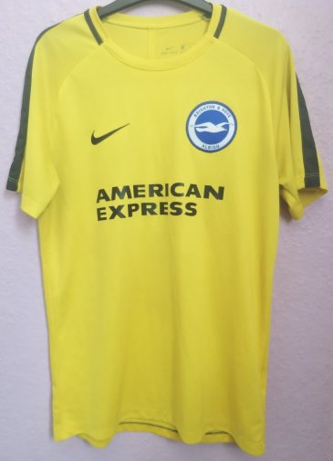 Brighton & Hove Albion Training/Leisure football shirt 2018 - 2019