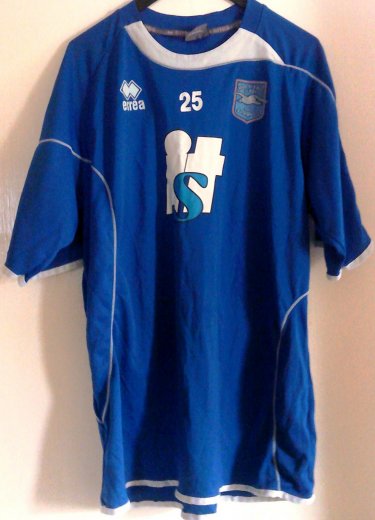 Brighton & Hove Albion Training/Leisure football shirt 2010 - 2011
