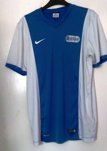 Brighton & Hove Albion Training/Leisure football shirt 2015
