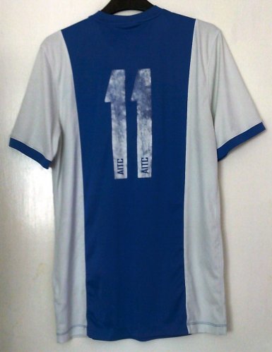 Brighton & Hove Albion Training/Leisure football shirt 2015