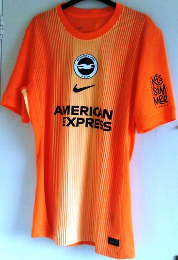 Brighton & Hove Albion Goalkeeper football shirt 2025 - 2026