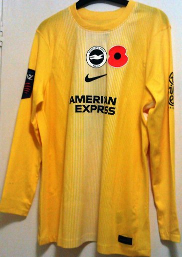 Brighton & Hove Albion Goalkeeper football shirt 2025 - 2026