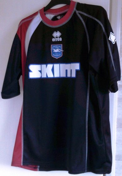 Brighton & Hove Albion Training/Leisure football shirt 2008 - 2009