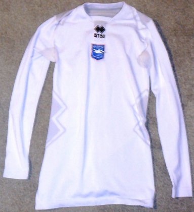 Brighton & Hove Albion Entraînement/Loisir Maillot de foot 1999 - 2002