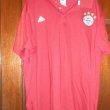Training/Leisure football shirt 2015 - 2016
