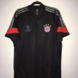 Training/Leisure football shirt 2014 - 2015