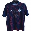 Training/Leisure football shirt 2018 - 2019