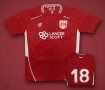 Bristol City Home maglia di calcio 2016 - 2017
