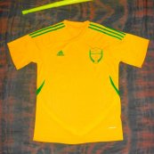 Goalkeeper football shirt 2013