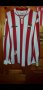 Estudiantes Home football shirt 2003 - 2004