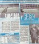 Racing Club Away football shirt 1998 - 1999