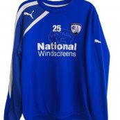Training/Leisure football shirt (unknown year)