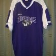 Home football shirt 2003 - 2004