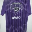 Home football shirt 2012 - 2013