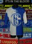 FC Schalke 04 Training/Leisure football shirt 1994 - 1995