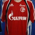 Training/Leisure football shirt 2008 - 2009