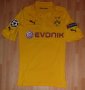 Borussia Dortmund Cup Shirt football shirt 2014 - 2015