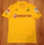 Borussia Dortmund Cup Shirt football shirt 2014 - 2015