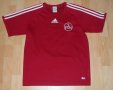Nurnberg Training/Leisure football shirt 2005