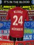 Nurnberg Home Camiseta de Fútbol 2007 - 2008