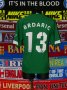 VfL Wolfsburg Home football shirt 2005 - 2006