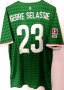 Werder Bremen Home football shirt 2013 - 2014