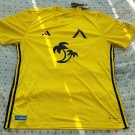 Third football shirt 2023 - 2024