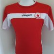 Home football shirt 2004 - 2005