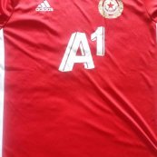 Training/Leisure football shirt 2018 - 2019