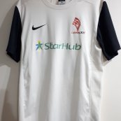 Third football shirt 2013