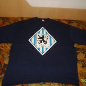 Training/Leisure football shirt 2008 - 2009