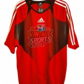 Training/Leisure football shirt 2004 - 2005