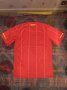 Vietnam Home football shirt 2010 - 2012