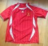 Vietnam Home football shirt 2006